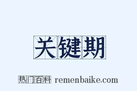 关键期是什么意思的图片